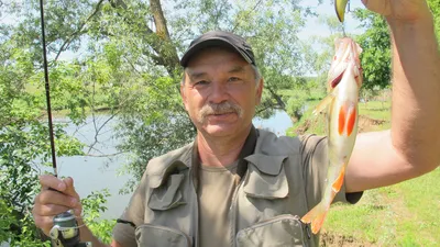 Ловля рыбы на воблеры у Кантемировского моста. – SpinningSpb.ru