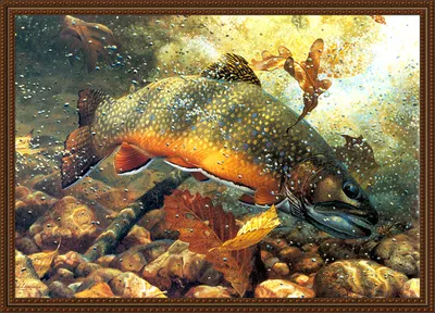 Большие пучеглазые рыбы Окраска вектора на тему рыбалки на белом фоне  изолированной с иллюстрацией цвета Иллюстрация штока - иллюстрации  насчитывающей мило, художничества: 167773292