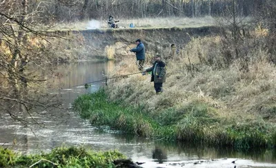 Особенности местной рыбалки - БУ \"Сургутский районный комплексный центр  социального обслуживания населения\"
