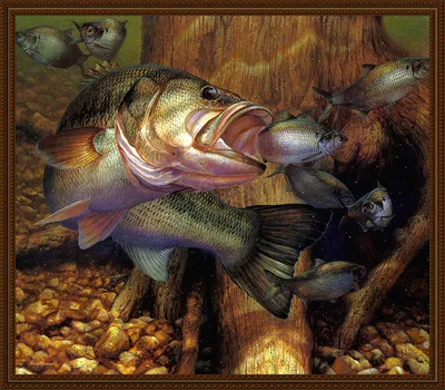 Рисунок на тему рыбалка - фото и картинки abrakadabra.fun