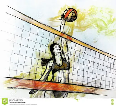 Спорт волейбола и дизайн хобби Иллюстрация вектора - иллюстрации  насчитывающей волейбол, вектор: 110240625
