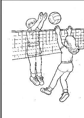 Реферат на тему \"Волейбол\" | Рефераты Физическая культура | Docsity