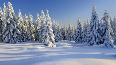 Английские слова на тему Зима (Winter)