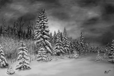 Зимний лес севера - 78 фото