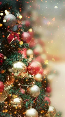 Wallpaper new year christmas xmas обои новый год рождество праздник ёлка |  Зимние растения, Рождественские пейзажи, Картинки подсолнечника