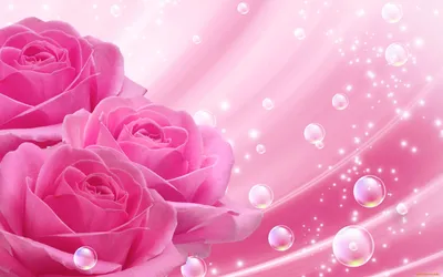 Обои Цветы Розы, обои для рабочего стола, фотографии цветы, розы, пузыри,  розовые Обои для рабочего стола, скачать обои картинки заставки на рабочий  стол.