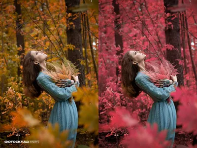 Два простых способа, как изменить цвет в Photoshop | Урок | Фото, видео,  оптика | Фотосклад Эксперт