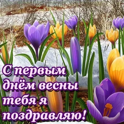 Купить Букет цветов \"Начало весны\" в Москве по 2680 ₽ арт – 12913
