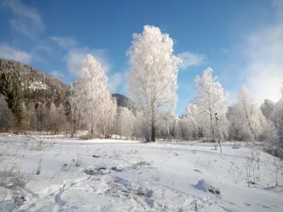 Зимние обои 2013 - укрась свой рабочий стол лучшими фотографиями