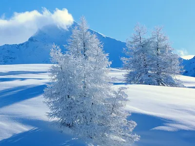 Картинки начало зимы красивые мало снега (68 фото) » Картинки и статусы про  окружающий мир вокруг