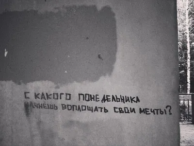 Надписи на стенах | Цитаты, Вдохновляющие цитаты, Настоящие цитаты