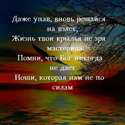 30 мудрых цитат о жизни, людях со смыслом Любимые цитаты на каждый день |  Глоток Мотивации | Дзен