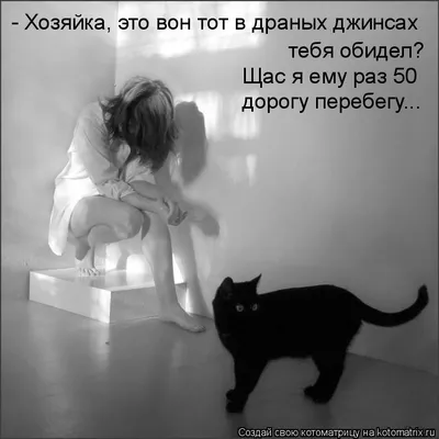 Котоматрица: Поиск котоматрицы