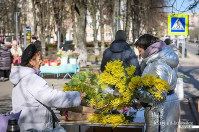 Фотофакт. Накануне 8 Марта жители Витебска покупают цветы для любимых женщин