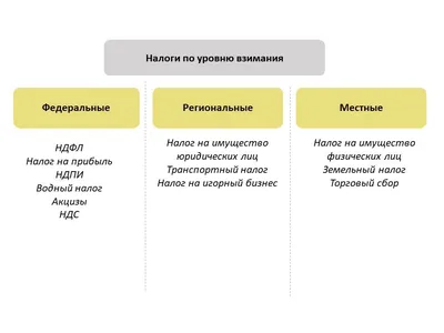 Налоги и отчетность для начинающих бизнес