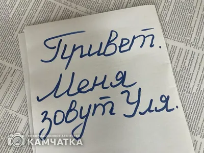 Как написать продавцу на OZON личным сообщением в чат (ЛС), через  техподдержку: в мобильном приложении и в браузере