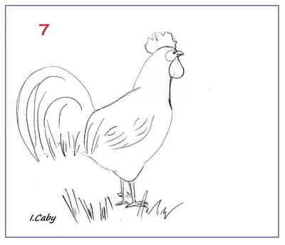 мультфильм петух иллюстрация PNG , курица клипарт, петухи, голова петуха  PNG картинки и пнг рисунок для бесплатной загрузки