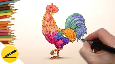 Как нарисовать ПЕТУХА / мультик раскраска ПЕТУШОК для детей / Раскраски  малышам - YouTube