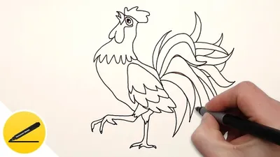 How to Draw a Rooster step by step - a Symbol of 2017 - YouTube