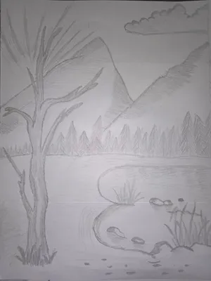 Рисунок карандашом природа для срисовки | Рисунки, Природа, Хипстерские  рисунки