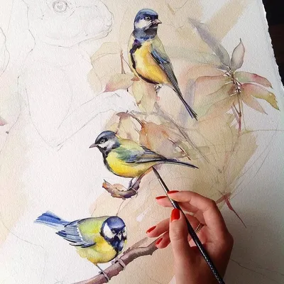 Рисунки птиц для срисовки (67 фото)
