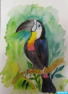 Птицы на ветке | Пикабу