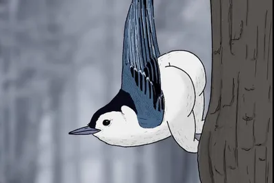 Как нарисовать милую птицу? РИСУНКИ ДЛЯ ДЕТЕЙ - YouTube