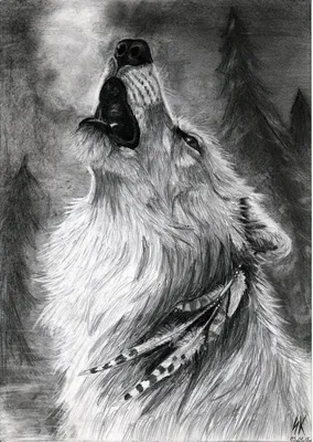 рисунок волка черный волк лицом влево стикер дикого животного - TenStickers