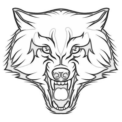 Рисунок волка карандашом. | Пикабу