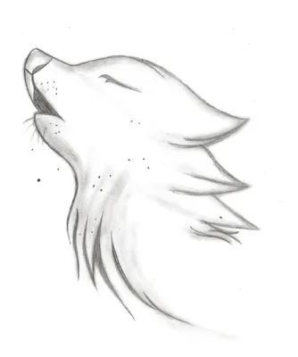 Картинки для срисовки волков: фото 100 креативных идей | Волк, Рисунки,  Картинки