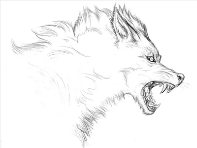 Нарисованный волк сбоку - 47 фото