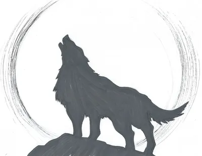 Wolf. Волк. PNG. | Искусство силуэта, Абстрактные раскраски, Милые рисунки