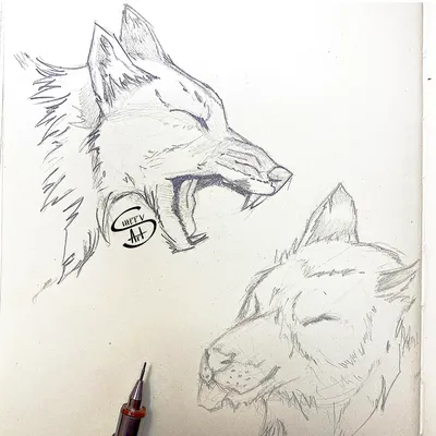 Рисунок карандашом,чёрный волк,…» — создано в Шедевруме