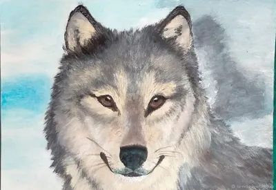 Волк / Как нарисовать волка/ Рисунок карандашом / Draw a Wolf with a  pencil! - YouTube