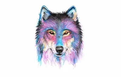 Картинка волк смотрят Животные Рисованные
