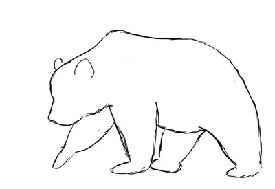 Нарисованный медведь сидит на …» — создано в Шедевруме