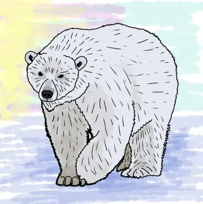 коричневый или медвежий векторный рисунок. медведь, идущий по четверенькам,  изолирован. лесное животное. Иллюстрация вектора - иллюстрации  насчитывающей европейско, шерсть: 237242103