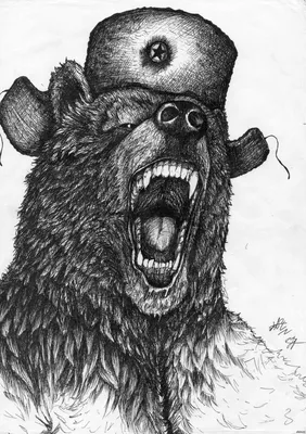 Легкий рисунок бурого медведя - 48 фото
