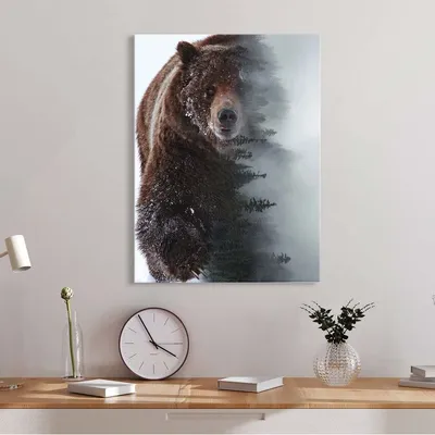 Медведь бурый рисунок для детей - 49 фото