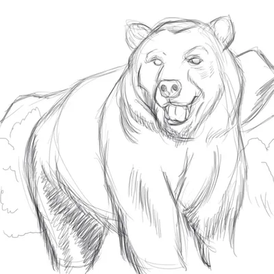 Картина Медведь | RedPandaShop.