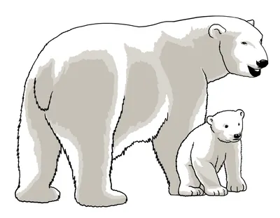 Нарисованный медведь