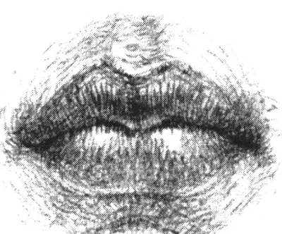 Рисунки для срисовки губы - 66 фото