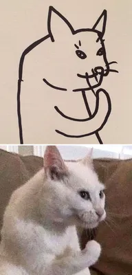 Рисунки мемных котов | Пикабу