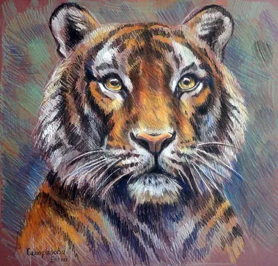 Подведены итоги 18-го ежегодного конкурса рисунков, посвященного тиграм и  леопардам | Фонд «Феникс»
