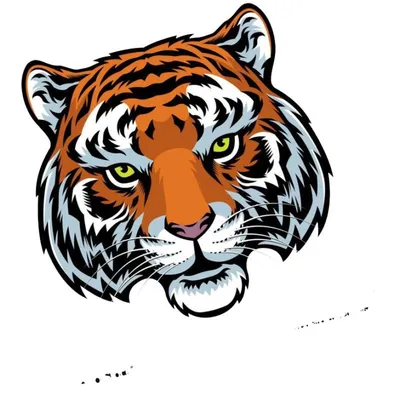 Тигр для срисовки в полный рост (27 шт)