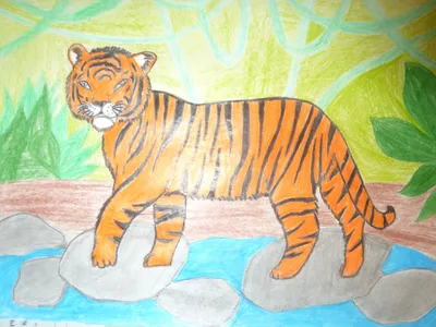 Рука нарисованные толстый тигр клипарт наклейки PNG , тигр здесь, тигр  картинки, мультфильм PNG картинки и пнг PSD рисунок для бесплатной загрузки