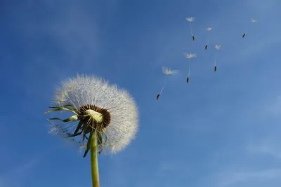 🌤 Народные приметы с помощью которых можно предсказывать погоду  (презентация)