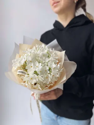 Букет из кустовых нарциссов кремовых - заказать доставку цветов в Москве от  Leto Flowers