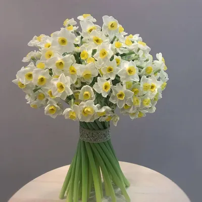 Картина Нарциссы Цветы в вазе • современные художники