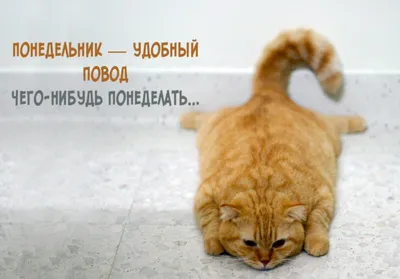 Мастерская №5 «Вставайте, Граф, Вас ждут великие дела!» #ЛШЮП 2022  #Новосибирск - YouTube